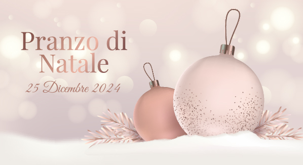 BANNER PRANZO NATALE 2024